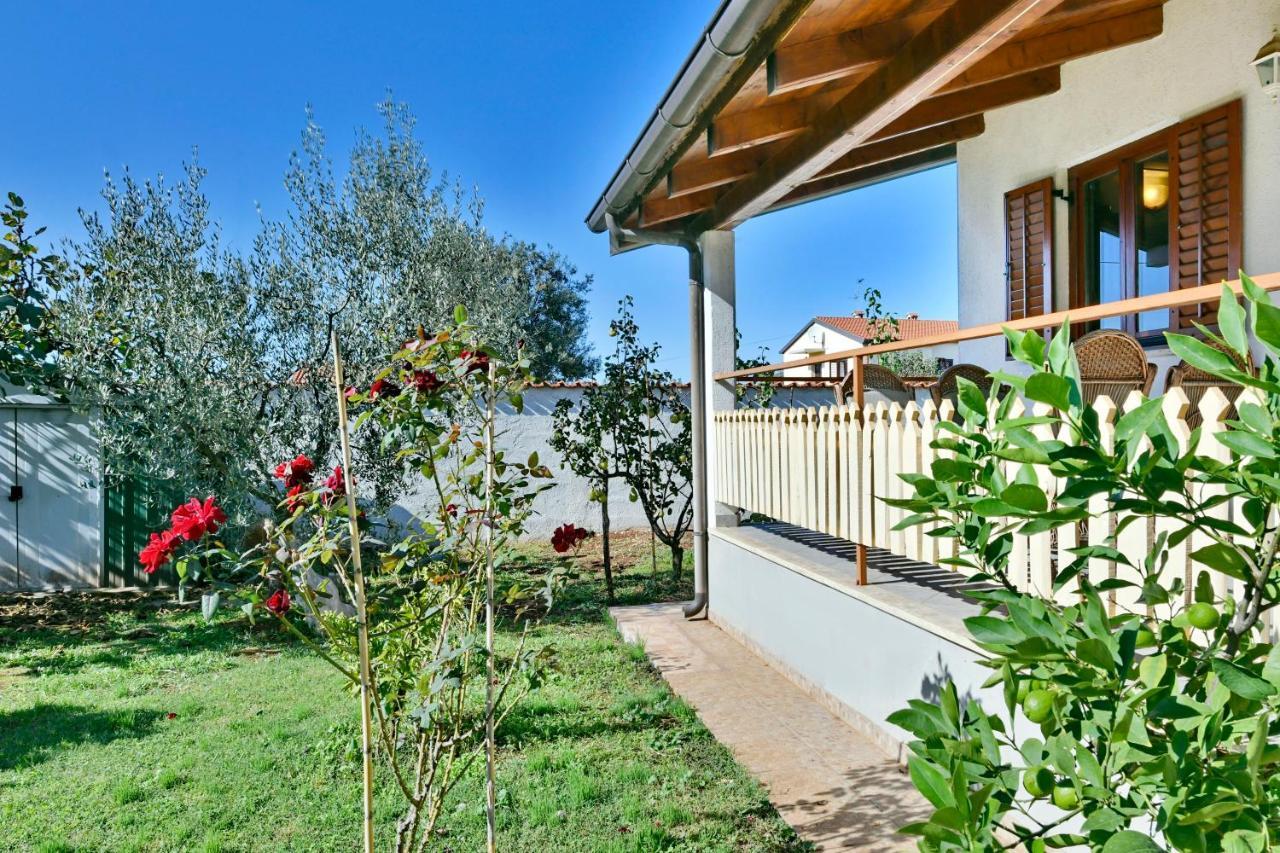 פורץ Adriatico Bungalow מראה חיצוני תמונה